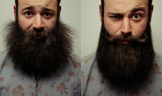 Plancha Alaciadora Barba Caballero